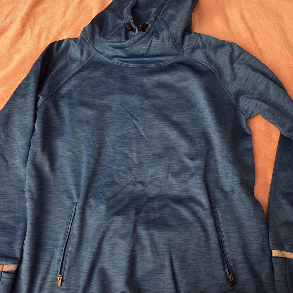 The Black Dog Blue Hoodie